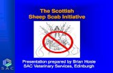 The Scottish Sheep Scab Initiative · Injectables - endectocides Doramectin (Dectomax) One single injection for treatment and control (i/m injection) Ivermectin (Ivomec, Noromectin,