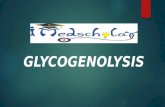 GLYCOGENOLYSIS€¦ · reversal of glycogenesis. overview of glycogenolysis step 1 step 2 step 3 debranching enzyme glucan transfera se activity glycosida se activity bifunctional