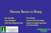 Disease Basics in Hemp...Abiotic diseases are caused by non-living things- weather, drought, nutrient deficiencies, etc. N Deficiency Zinc deficiency Drought/high heat stress