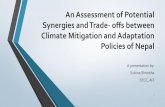 An Assessment of Potential Synergies and Trade- offs between … · 2019. 2. 25. · Subina Shrestha. EECC, AIT. 1. ... We used a seven -point scoring system for expert respondents