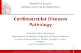 Cardiovascular Diseases Pathology · Vascular Pathology in Hypertension 1. Accelerating atherogenesis, 2. Hypertension-associated degenerative changes in the walls of large and medium
