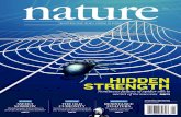 HIDDEN STRENGTH - ing.unitn.itpugno/NP_PDF/175-NATURE12-spidersilk-web.pdf · Although spider silk is used by spiders for many purposes, from wrapping prey to lining retreats 22,23