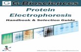 Protein Electrophoresisgalachem.ru/upload/pdf/...Electrophoresis-Handbook.pdf · Introduction Protein electrophoresis is a routinely used technique in proteomic research that separates