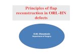 Principles of flap reconstruction in ORL-HN defects NOTES/1/2/OM... · Acquired Partial Defects • The most commonly encountered • Reconstruction influenced by aetiology, location