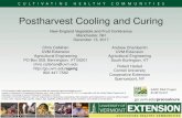Postharvest Cooling and Curing - UVM Blogs...Postharvest Cooling and Curing UVM Extension helps individuals and communities put research-based knowledge to work. Issued in furtherance