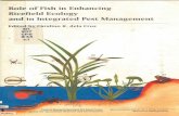 ~~'1. Rol~ of Fish in Enhancing Ric~field Ecology andjin ... · Role of Fish in Enhancing Ricefield Ecology #@ and in Integrated Pest Management I. l SLP u t 1994 Summary Report of