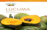LUCUMA - pacificfruitperu.com · Peru is the world’s leading producer of lucuma, in both the smooth Seda varietal and the Palo varietal, which is mainly used in the production of