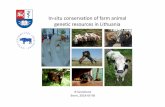 In-situ conservationof farm animal genetic resources in ... · In-situ conservationof farm animal genetic resources in Lithuania R.Sveistiene Bonn, 2018-05-08