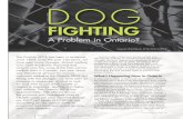 DOG - Dog fighting, like cock (rooster) fighting, is closely tied to organized crime involving guns,