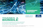 THANKS A BUNDLE - socialequity.unimelb.edu.au€¦ · THANKS A BUNDLE Improving support and access to online telecommunications products for consumers with cognitive disabilities