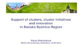 Support of clusters, cluster initiatives and innovation in ... · Support of clusters, cluster initiatives and innovation ... and clusters International projects realised within programmes