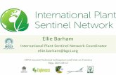Ellie Barham · Riga, 2015-09-17. The IPSN aims to provide an early warning system to recognise new and emerging pest risks. ... Botanic Gardens and BGCI BGCI - Worldwide botanic
