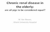 Chronic renal disease in the elderly - Nephrologisches Seminar · 2018. 11. 1. · •During the observation period, 3472 patients started renal replacement therapy. • For 793 patients