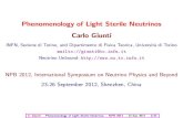 Phenomenology of Light Sterile Neutrinos Carlo Giuntiindico.ihep.ac.cn/event/2607/session/7/contribution/103/material/... · [PRL 103 (2009) 111801; PRL 105 (2010) 181801] ... 95.45%