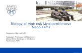 Biology of High risk Myeloproliferative Neoplasms...©2012 MFMER | slide-Biology of High risk Myeloproliferative Neoplasms Naseema Gangat MD Assistant Professor of Medicine Mayo Clinic