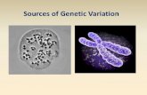 Sources of Genetic Variation 06... · 2014. 8. 1. · Measuring Genetic Variation in Natural Populations • Phenotypic Variation –anatomy –biochemistry –physiology –development