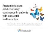 Anatomic factors predict urinary continence in patients with anorectal€¦ · Background • Anorectal malformation a complex spectrum diagnosis characterized by anal mislocation