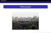 Deforestation - Washington State Universityfaculty.ses.wsu.edu/Espinola/Deforestation.pdf · Deforestation Storable, Renewable Resource: Forest According to the World Resources Institute,