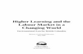 Higher Learning and the Labour Market in a Changing World€¦ · Higher Learning and the Labour Market in a Changing World vi Foreword Environmental scans consider the “big picture”