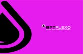 It automates the inking - defi-sa.com · BFT is born out of the need for innovation on inking systems in the world of flexographic printing. Since most inking systems are manual and