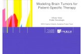 Modeling Brain Tumors for Patient-Specific Therapymeditech.cardiff.ac.uk/pages/Individula Meetings/2-3... · 2016. 3. 2. · Patient-Specific Therapy Olivier Clatz Ender Konukoglu