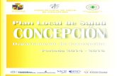 Plan Local Salud Concepción · 2014. 7. 23. · 2 Plan Local de Salud de Concepción, Departamento de Concepción 2014/2016 Este documento ha sido elaborado con la asistencia técnica