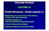 PROTEIN PHYSICS LECTURE 19 Protein Structures: Kinetic ...homes.nano.aau.dk/fp/protein-physics/lecture19.pdf · Protein Structures: Kinetic Aspects (1) ... (like MG) were found for