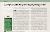 Large-scale Production Promising For Louisiana Smooth ...archive.lib.msu.edu/tic/golfd/article/2008jun72.pdf · km2 annually (Bourne, 2000}. Coastal marsh loss in Louisiana represents