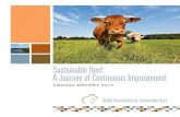 Sustainable Beef: A Journey of Continuous Improvement · Merck Animal Health works with partners from across the beef industry to address sustainable beef production on a global basis.