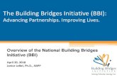 Overview of the National Building Bridges Initiative (BBI) (combined... · Residential Programs vs. Damar Services (BBI implementer) with ranges from 3-15% Lengths of Stay – Children/Youth