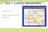 Unit 7: Cellular Metabolism - inetTeacher.com · 2017. 11. 6. · Aerobic Cellular Respiration Like photosynthesis, aerobic cellular respiration is a complicated metabolic pathway