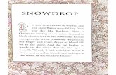 NewDoc 175 - BentonEnglish.combentonenglish.com/wp-content/uploads/2013/02/... · SNOWDROP T WAS THE middle of winter, and the snowflakes were falling from the sky like feathers.
