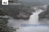 Free-flowing rivers · rivers, and indeed large scale water supply services, particularly for irrigation, rely on dams and other water infrastructure to provide that service. So,