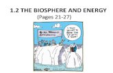 1.2 The Biosphere and Energy - Weeblysciencewithz.weebly.com/.../1.2_the_biosphere_and_energy.pdfKey Concepts •The biosphere relies on a constant source of solar energy. •Chlorophyll