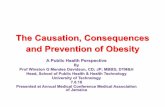 CAUSATION, CONSEQUENCES & PREVENTION OF OBESITY · How may case by case prevention of ... Ensure Restful Sleep vs Sleep deprivation 5. Safe and Harmonious environmentvs Harmful /Toxic