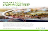 HYDROLYZED ANIMAL PROTEINS FOR SHRIMP FEED...SUSTAINABILITY Shrimp culture is often criticized for using more fish than producing shrimp (FIFO>1). The utilization of hydrolyzed highly