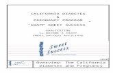 6. Please view your Affiliate Site(s) on our · Web viewThe CDAPP Sweet Success Resource and Training Center develops and maintains web-based training and disseminates valuable diabetes
