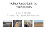 Habitat Restoration in the Peconic Estuary · History of Habitat Restoration in the PEP “In 1997 the Peconic Estuary Program Habitat Restoration Workgroup was formed and charged