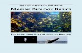 Marine Biology Basics · 2017. 4. 17. · Marine biology is the scientific study of animal and plant life in the ocean or other marine or brackish bodies of water. Marine biology