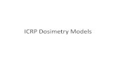 ICRP Dosimetry Models · 2012. 7. 20. · Bone Dosimetry Model •Two types of bone: – Cortical bone: hard, hollow cylinder, mostly appendicular skeleton, 4 kg – Trabecular bone: