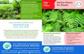 Urban Lands Program Native Plants for Shade - East Multnomah Soil & Water … · 2018. 3. 28. · The East Multnomah Soil and Water Conservation District (EMSWCD) ... Urban Lands