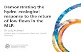 Demonstrating the hydro-ecological response to the return ... · hydro-ecological response to the return of low flows in the MLR ... environmental benefits and social benefits (particularly