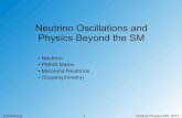 Neutrino Oscillations and Physics Beyond the SMschoning/... · A.Schöning 15 Particle Physics WS 16/17 Beyond the SM Observations not explained by (extended) SM dark matter Problems