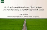 Rice Crop Growth Monitoring and Yield Prediction with ... · Rice Crop Growth Monitoring and Yield Prediction with Remote-Sensing and ORYZA Crop Growth Model. The need for timely