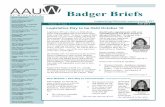 Badger Briefsaauw-wi.aauw.net/files/2013/06/WI-AAUW-newsletter-fall-13-2.pdf · Facebook and Twitter. I see a lot of potential for our website becoming useful not just to outsiders,
