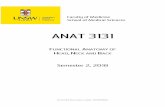 Semester 2, 2018 · ANAT3131 Functional Anatomy of Head, Neck and Back – Semester 2, 2018 c) functional anatomy of the cranial nerves d) aspects relevant to clinical situations