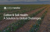 concerned about Generation Z highly climate Environmental ... · Environmental. Social. ... Most important challenges facing our world today: cottonworks.com. @cotton_works. With