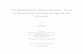CO-OFDM Elastic Optical Networks - Issues on Transmission ... · egy, the routing and bandwidth allocation (RBA) problem is formulated in elastic optical networks and numerically