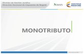 MONOTRIBUTO - Defensoría DIANdefensoriadian.gov.co/.../2018/05/2-Monotributo-2018.pdf · 2018. 8. 24. · Monotributo Rige a partir del 1 de enero de 2017. Voluntario. Optativo*