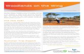 Woodlands on the Wing - Woodlands on the Wing Issue 3 Autumn 2013 The Great Western Woodlands is the